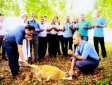 Akbalık Güreşleri Yarın