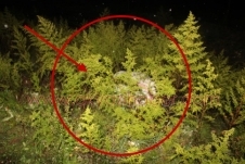 Zanlılardan İkisi Tutuklandı