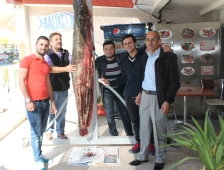 2 Metrelik Yayın Balığı Yakalandı