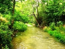 Tarlalarını Suladıkları Dere Ellerinden Alınınca Valiliğe İtiraz Ettiler