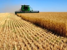 Tarımsal Hibe Desteklerinin Süresi Uzatıldı