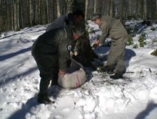 YABAN HAYVANLARA YEM BIRAKILDI