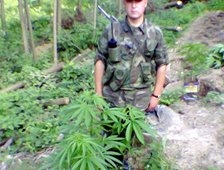 Jandarma tarafından Dokurcun'da 12 Bin Kök Hint Keneviri Ele Geçirildi 