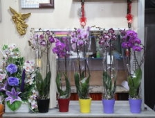 En Güzel Sevgililer Günü Hediyesi