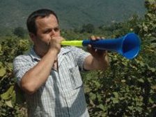 Vuvuzela Fındık Bahçelerinin Koruyucusu Oldu
