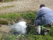 Sinek,  Böcek Ve Haşarat Mücadelesinde Hız Kesilmiyor