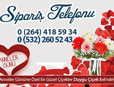 Annelerin Mutluluğu Her Şeye Değer