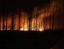 Yangın Güçlükle Söndürüldü