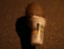 Yere Atılan Çöpler Doğal Yaşamı Olumsuz Etkiliyor