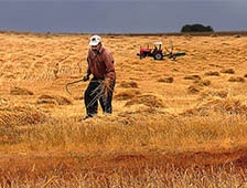 ÇKS Kaydında Son Bir Hafta
