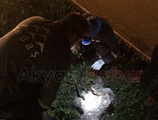 Yoldan Karşıya Geçerken Elektrik Çarptı