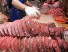 Kobal Ateş Püskürdü