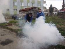 Akyazı Belediyesi Kavak Güvesi İle Mücadele Ediyor