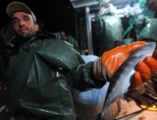 Balık Sezonu Açıldı