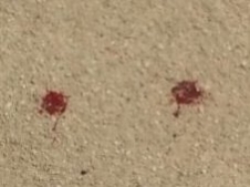 Çarşı İçinde Kavga 1 Yaralı