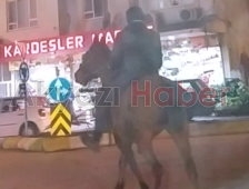 Akyazı Trafiğinde SIĞIR Görmüştük Fakat AT İlk Oluyor ( VİDEO )