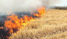 Samanlık ve Anız Yangını