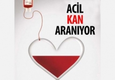 KAN ARANIYOR