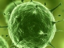 Kışa Damga Vuran 3 Virüs Hız Kesmiyor