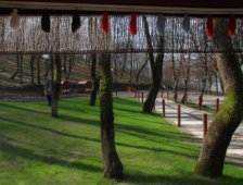 Orman Park Yaza Hazır