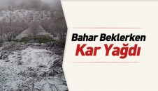Bahar Beklerken, Kar Yağdı