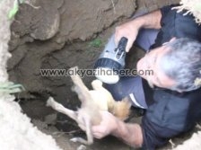 Yavrular İçin İtfaiye Seferber Oldu