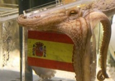 Kahin Ahtapot Paul öldü