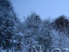 Beklenen Kar Yağışı Ençok Onları Sevindirdi