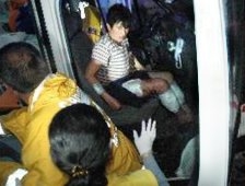 Geyve'de Ayı Dehşeti!