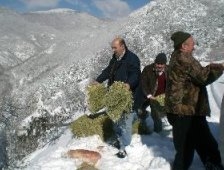 Yaban Hayvanları İçin Orman'a Yem Bırakıldı