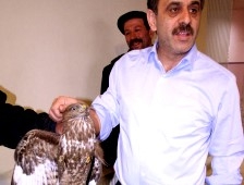 Hayvan Sevgisi Olmayanda İnsan Sevgisi Olmaz