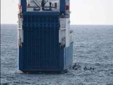 Atina'ya 200 Milyon $'lık Petrol Darbesi