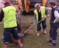 Ağaçlandırma Çalışmaları Tüm Hızıyla Devam Ediyor