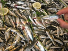 Akyazı Pazarı Denetlendi