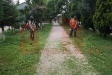 Akyazı'da Park düzenleme çalışmaları hızlandı 