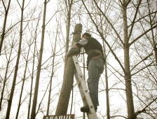 Eskiyen Telefon Direkleri Yenileniyor