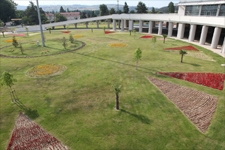 Sakarya Büyükşehir Terminali Bitirdi Akyazıda Hala Hareket Yok!