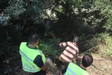 Mudurnu Deresi'nde İnekler Mahsur Kaldı