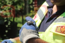 Eve giren yılanı çıkartan İtfaiye ekipleri Yılanı öldürmeyerek doğaya saldı