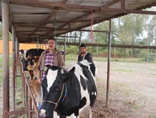Hayvan Pazarında Hareketlilik Başladı!