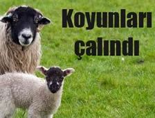 Baba Oğlundan Şikayetçi!