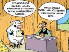 Kurban Karikatürleri