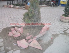 Park Etmek İçin Bariyerin Üstüne Çıktı.