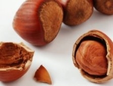 Fındık Desteği Ödemeleri Başladı