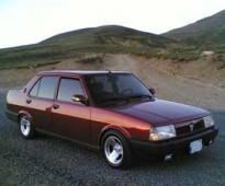 Tofaşçılar Akyazı 'da Buluşuyor