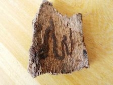 Ağaç Kabuğundaki ALLAH Yazısı