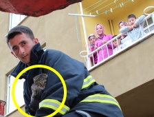 İki Ayrı Nokta da Kedi Kurtarma Operasyonu