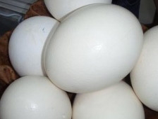 Diş Çürüğüne Son