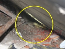 Merdiven Altına Giren Yılanı İtfaiyeciler Çıkardı