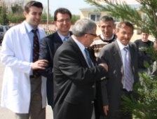 İnönü ilköğretimde Okul Bahçesini Ağaçlandırdı